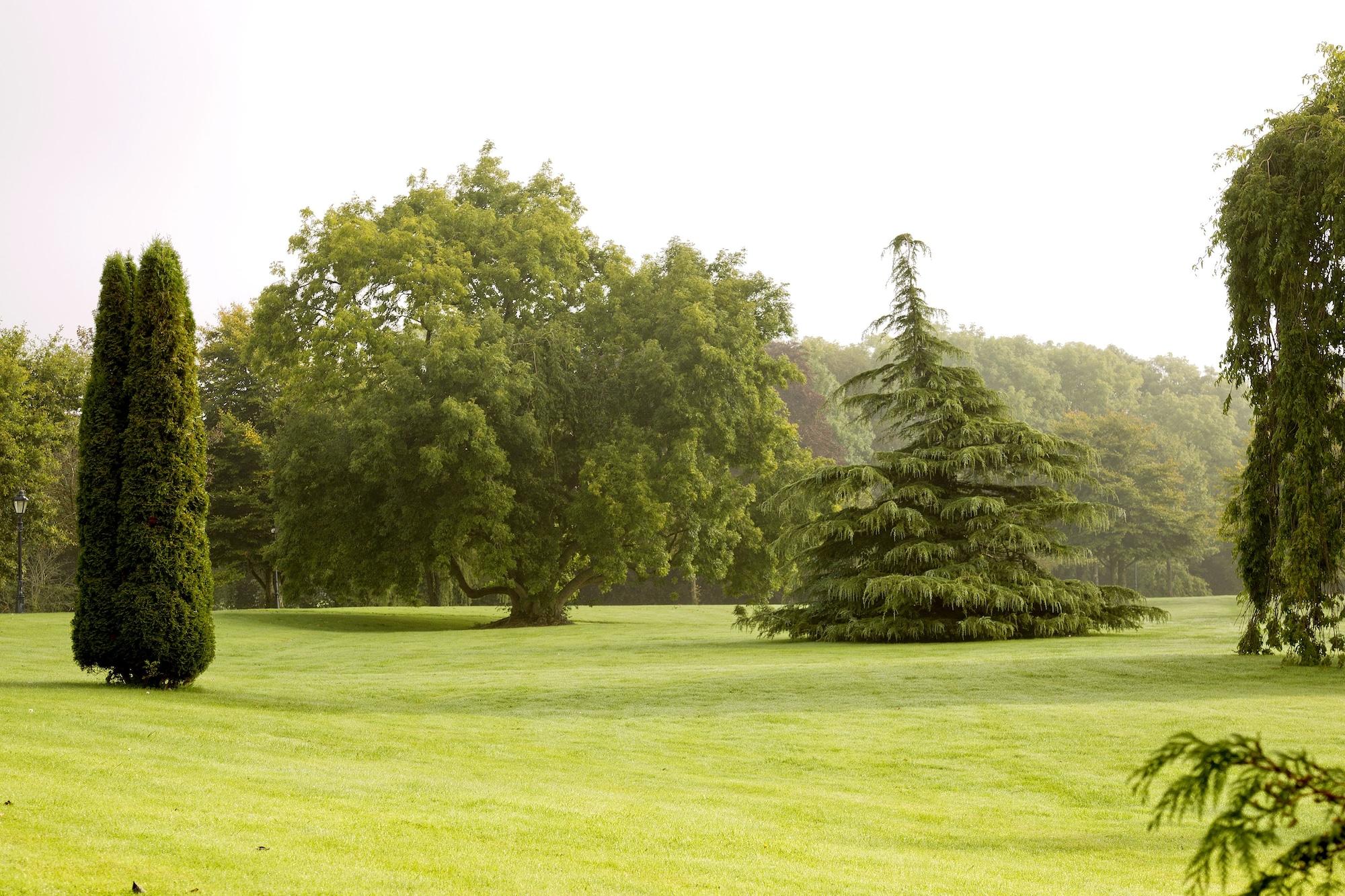 Moyvalley Hotel & Golf Resort Luaran gambar