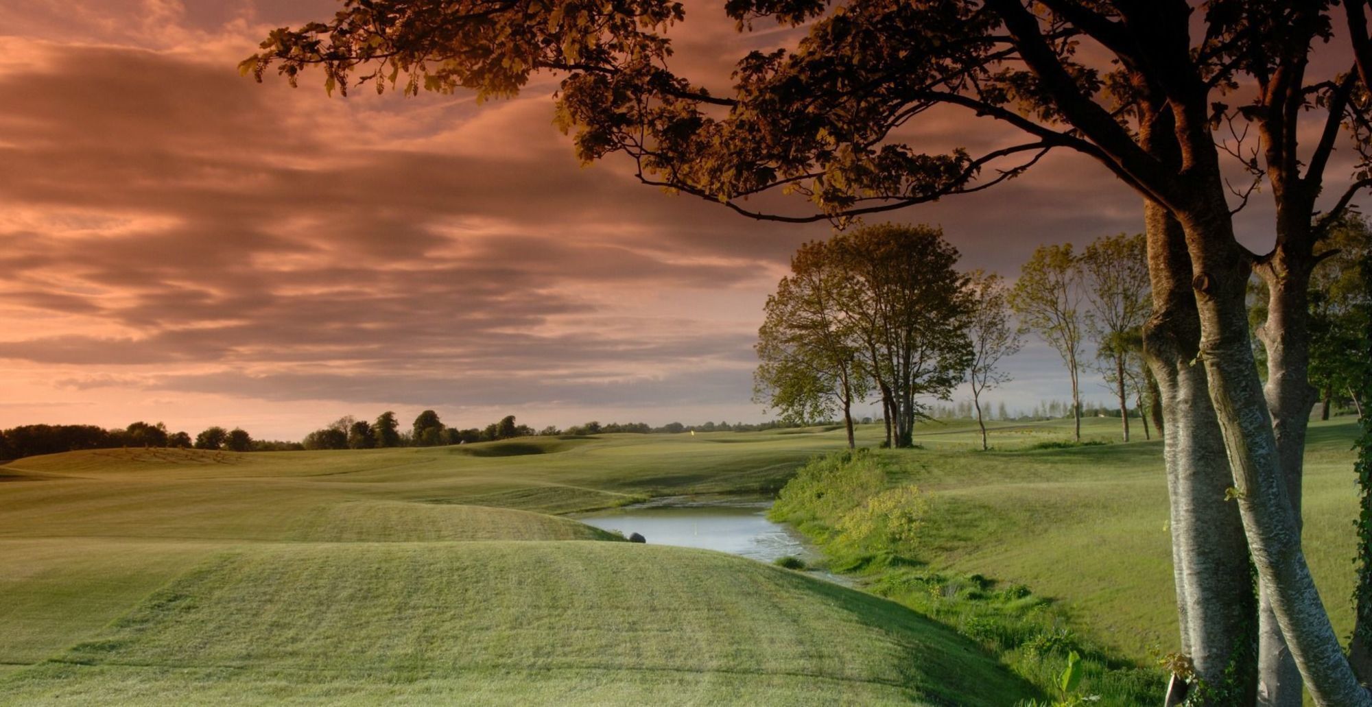 Moyvalley Hotel & Golf Resort Luaran gambar